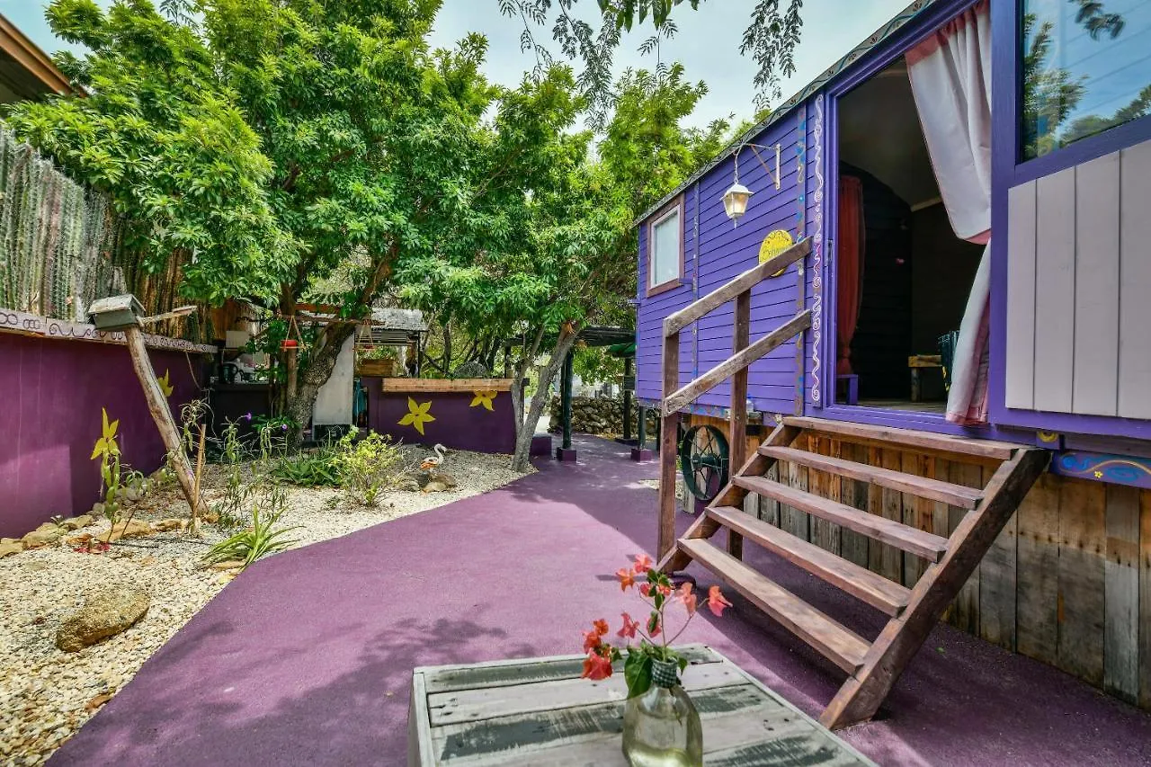 奥拉涅斯塔德Mammaloe住宿加早餐旅馆 2*, 奥拉涅斯塔德