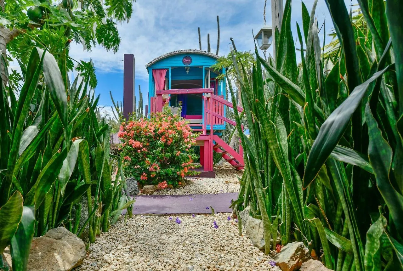 Bed and Breakfast Mammaloe Oranjestad 2*,  Aruba