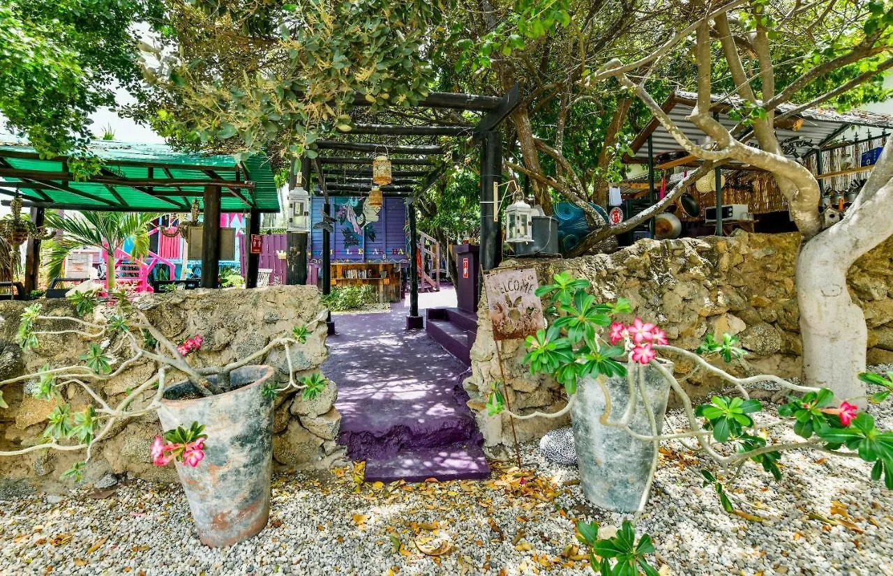 Bed and Breakfast Mammaloe Oranjestad 2*,