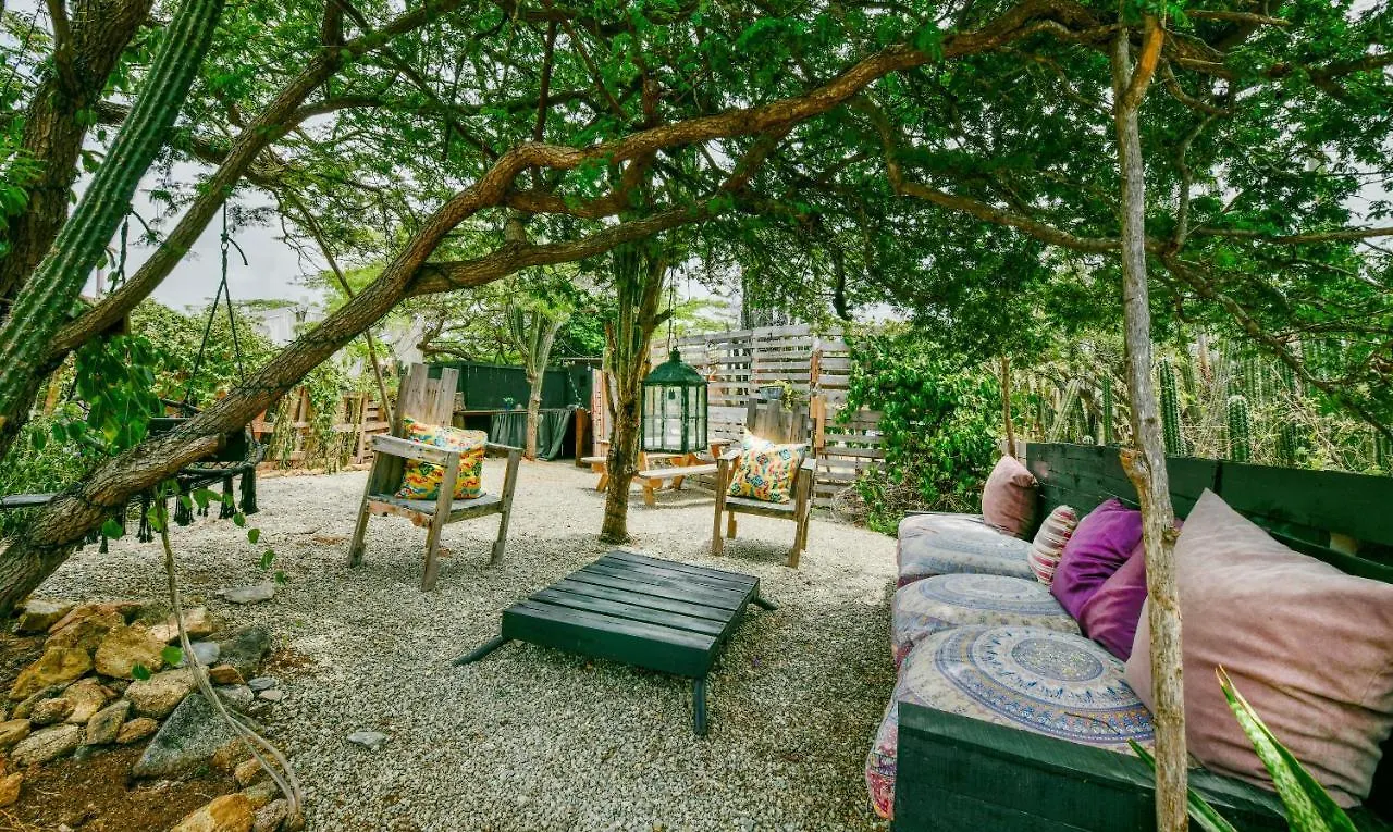 **  Bed and Breakfast Mammaloe Oranjestad Aruba
