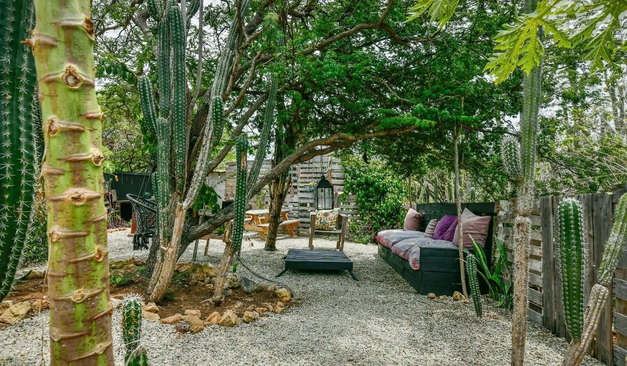 Bed and Breakfast Mammaloe Oranjestad