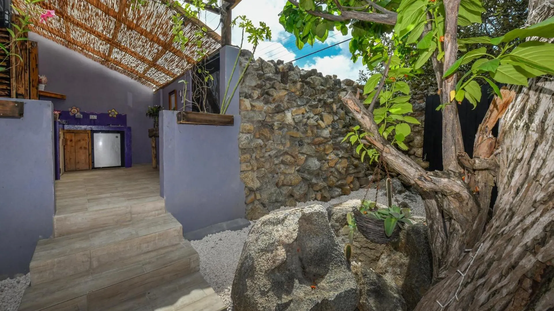 Mammaloe Bed & Breakfast Oranjestad