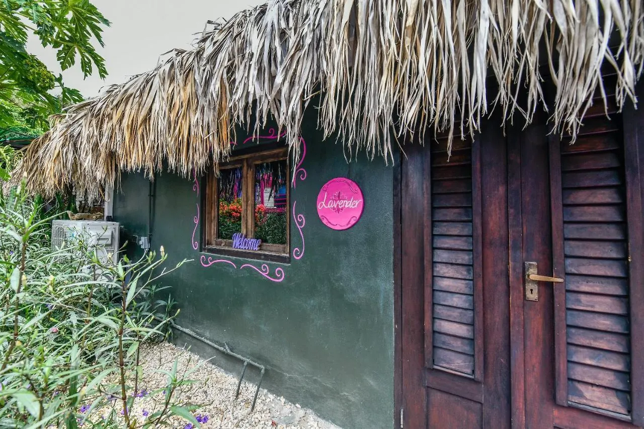 **  Mammaloe Bed & Breakfast Oranjestad Aruba