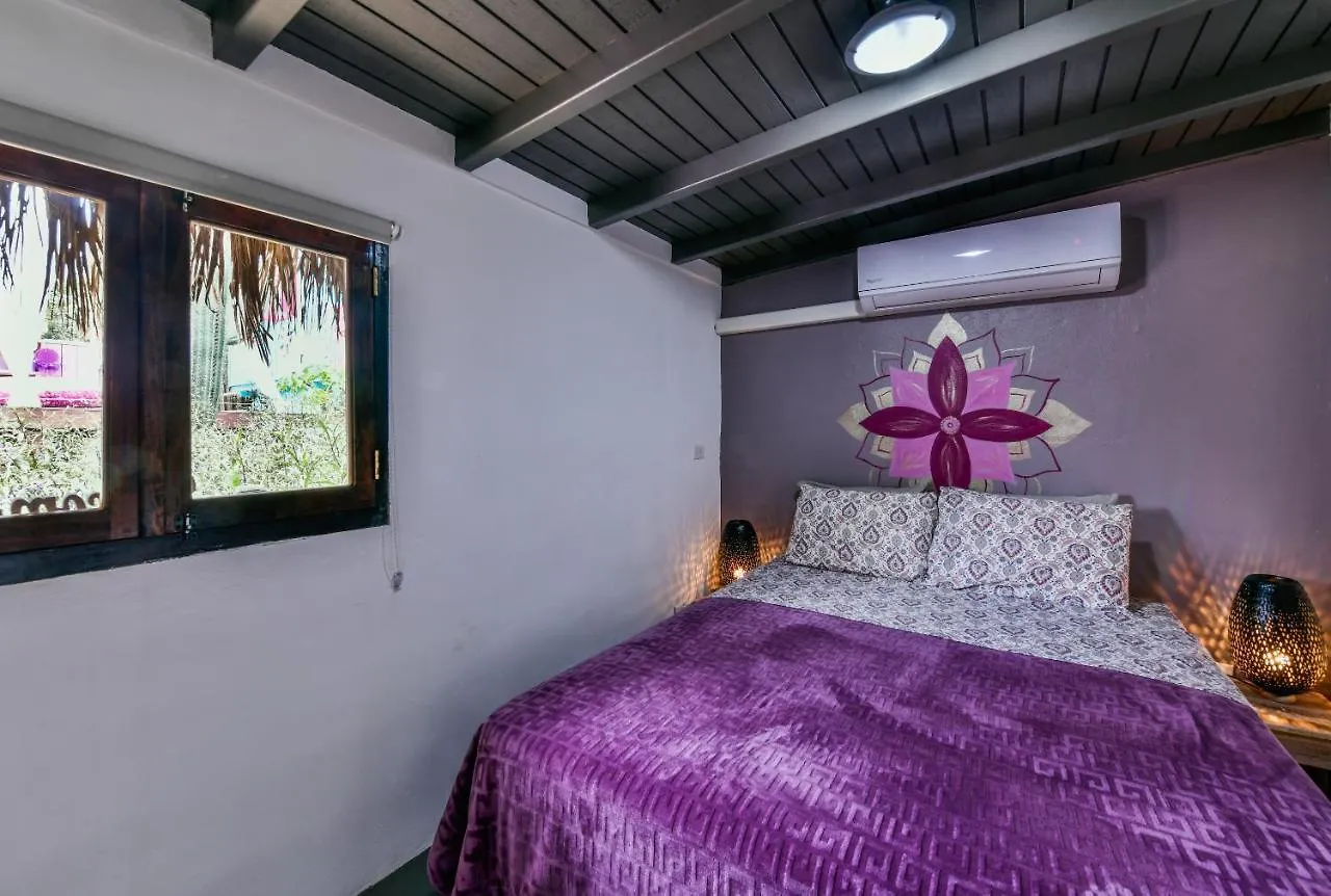Mammaloe Bed & Breakfast Oranjestad Aruba