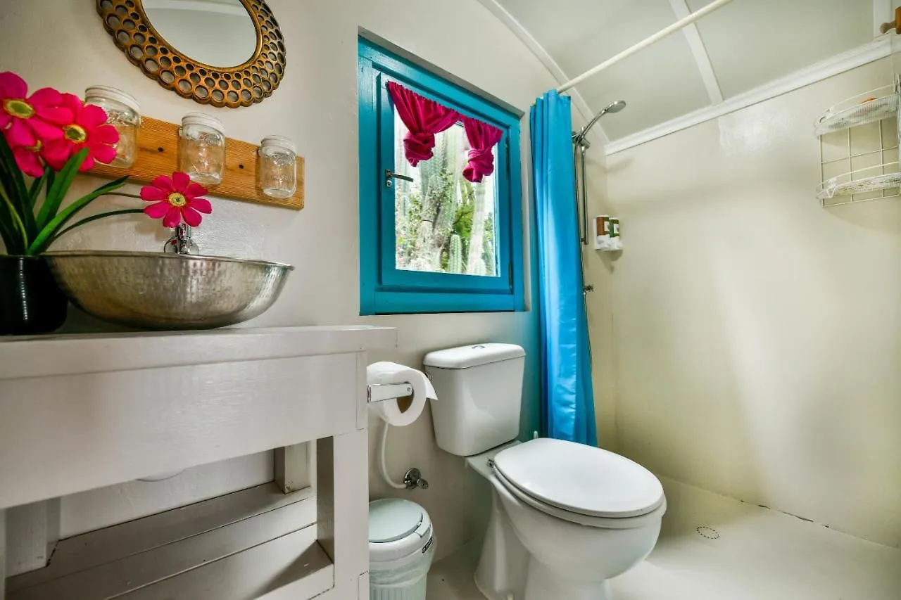 Mammaloe Bed & Breakfast Oranjestad
