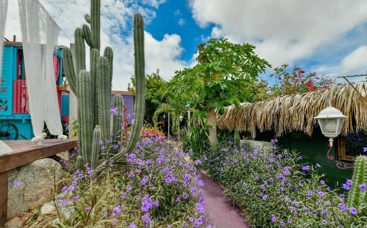 Mammaloe Bed & Breakfast Oranjestad