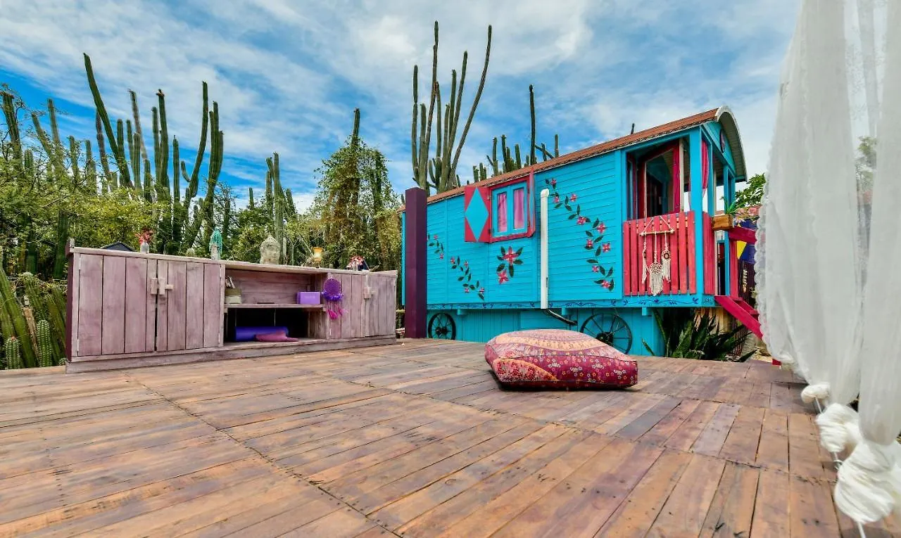 Mammaloe Bed & Breakfast Oranjestad