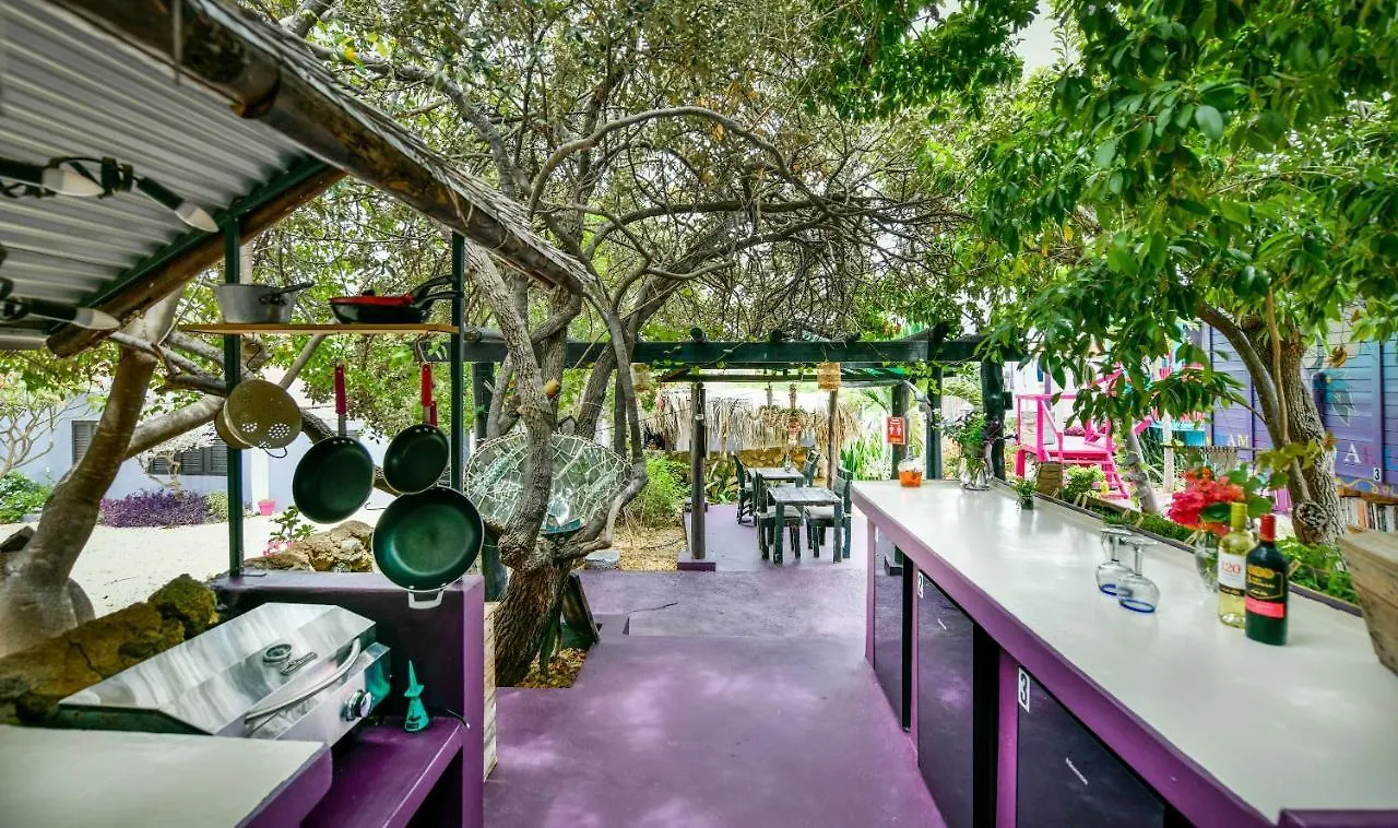 Mammaloe Bed & Breakfast Oranjestad
