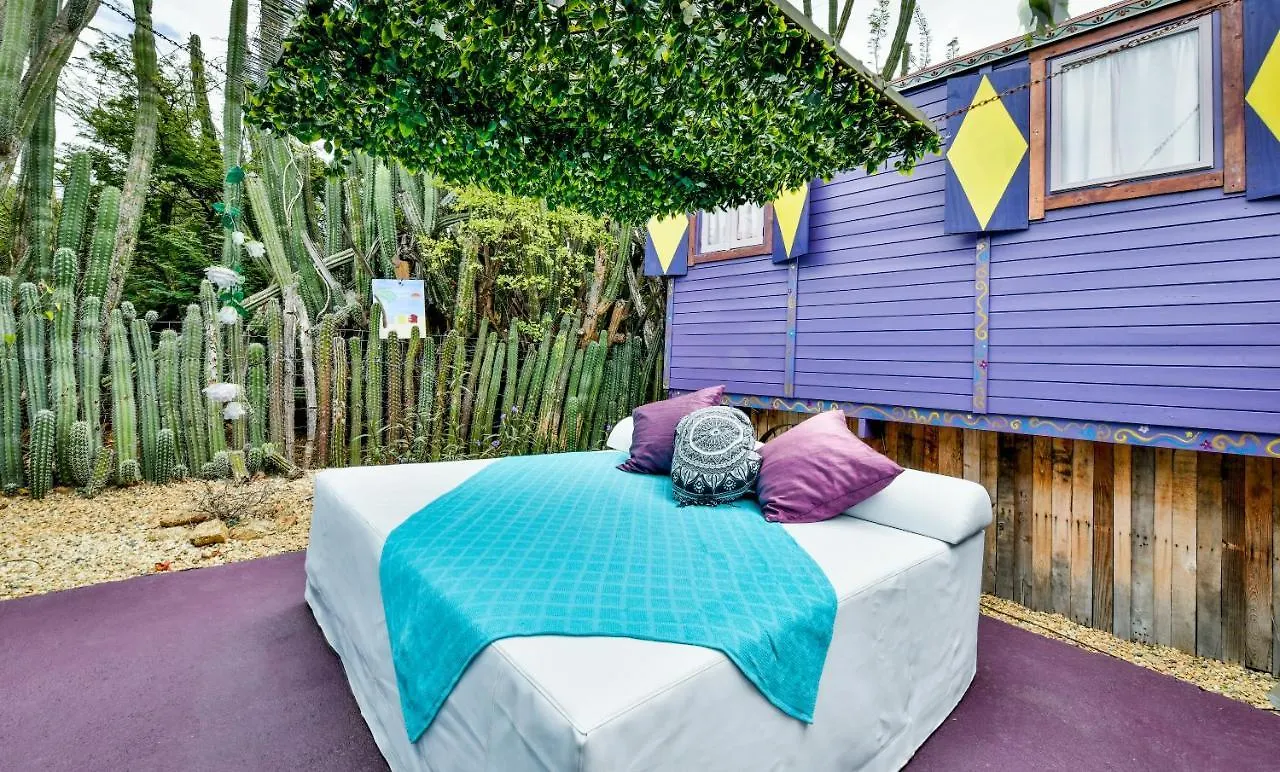 Mammaloe Bed & Breakfast Oranjestad 2*,  Aruba