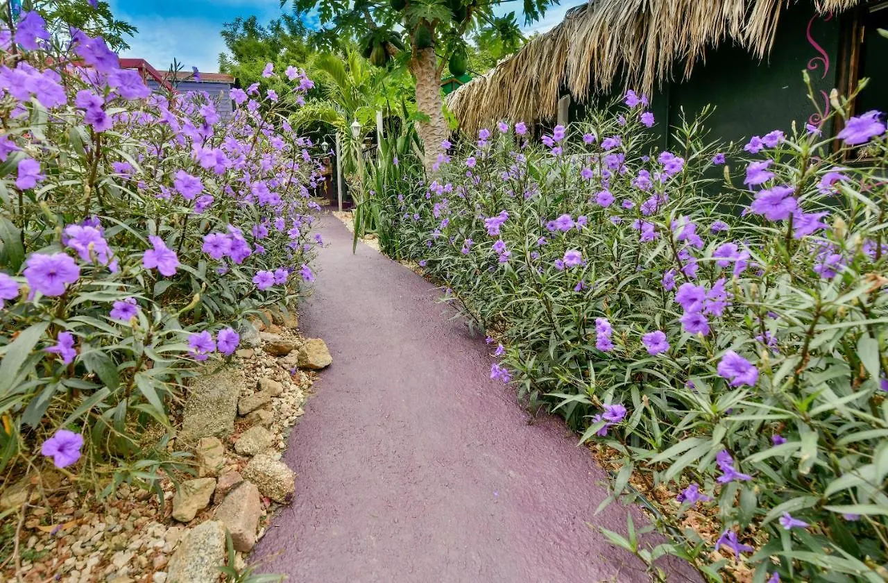 Mammaloe Bed & Breakfast Oranjestad 2*,  Aruba
