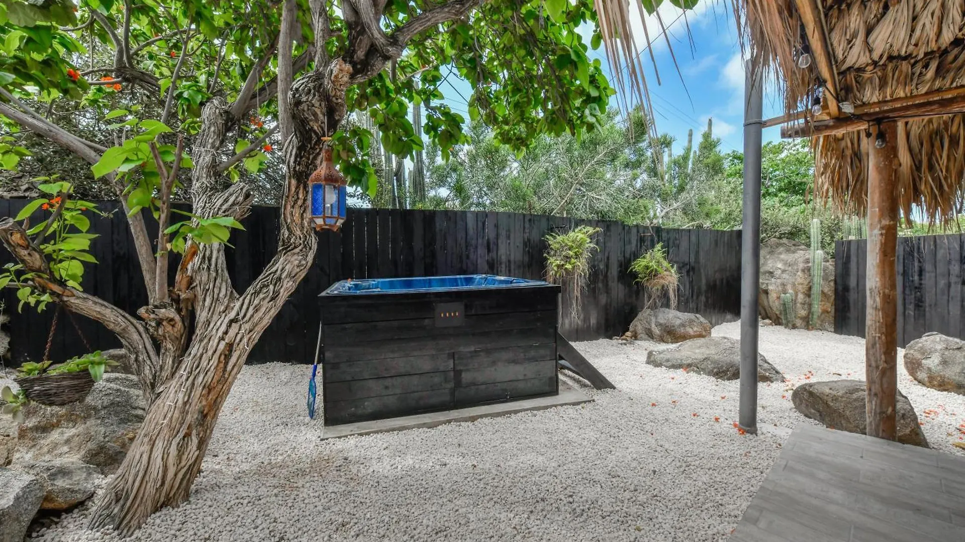 Mammaloe Bed & Breakfast Oranjestad Aruba