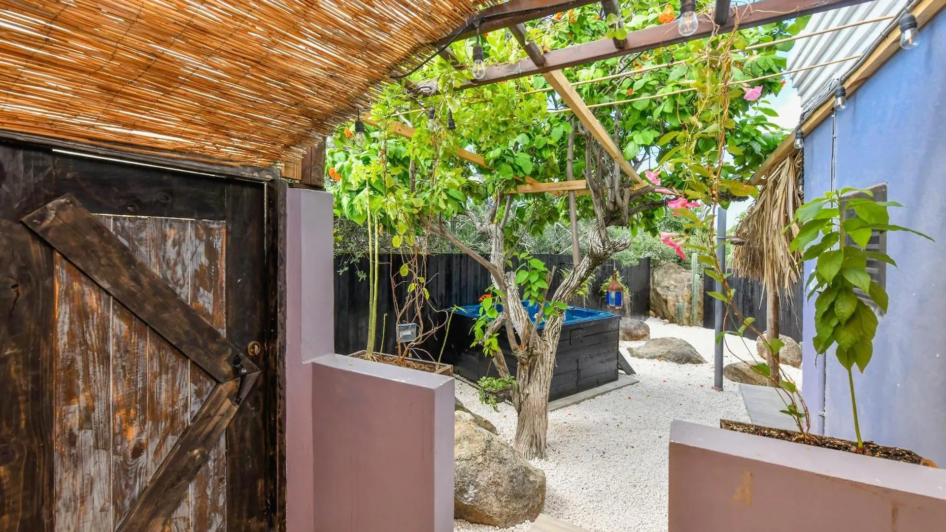 Mammaloe Bed & Breakfast Oranjestad Aruba
